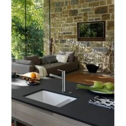 Franke Mitigeur Cuisine Tango Neo Douchette Monojet Inox 750431 -Franke tango neo 750431 douchette monojet 5