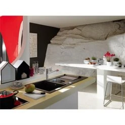 Franke Mitigeur Cuisine Taros Neo à Bec Inox 750349 -Franke taros neo 750349 a bec 4